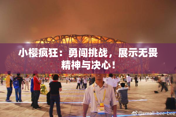 小樱疯狂：勇闯挑战，展示无畏精神与决心！