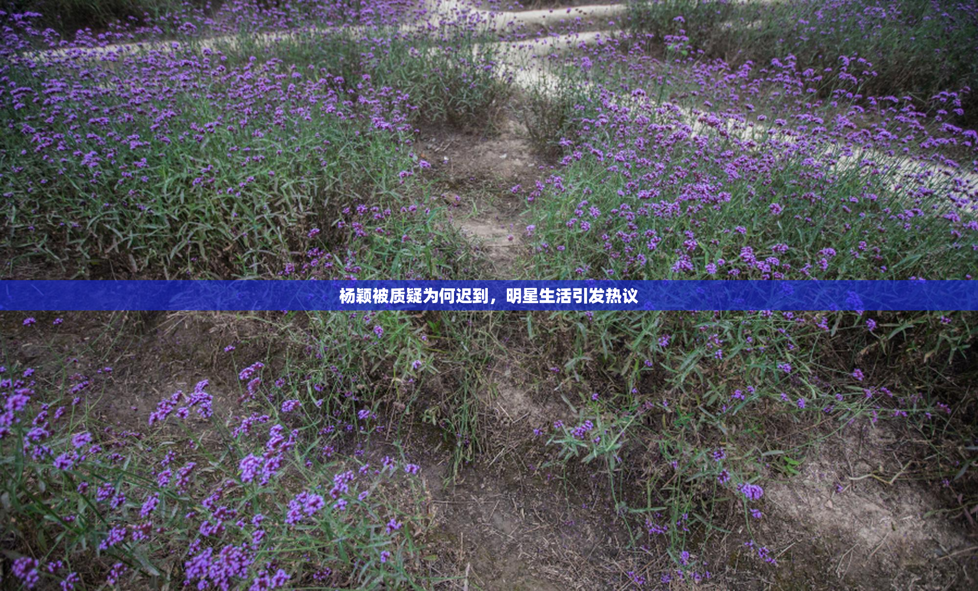 杨颖被质疑为何迟到，明星生活引发热议