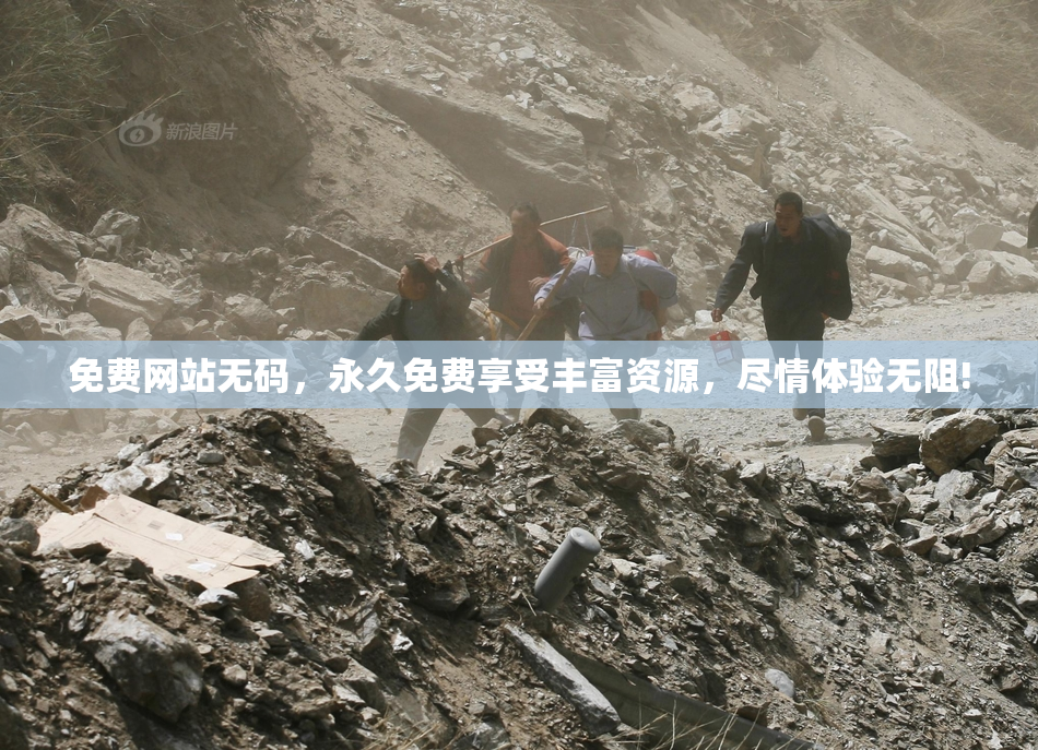 免费网站无码，永久免费享受丰富资源，尽情体验无阻!