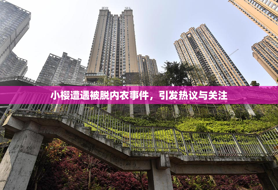 小樱遭遇被脱内衣事件，引发热议与关注