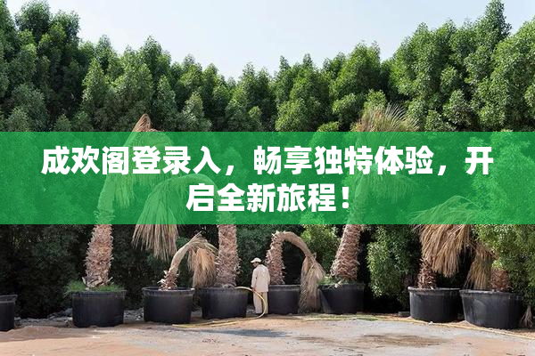 成欢阁登录入，畅享独特体验，开启全新旅程！
