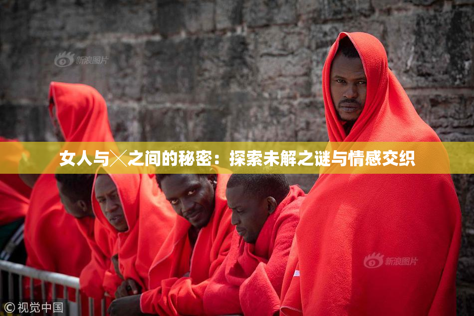 女人与╳之间的秘密：探索未解之谜与情感交织