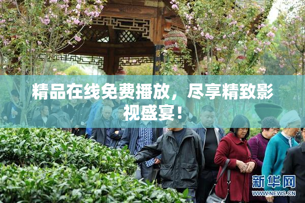 精品在线免费播放，尽享精致影视盛宴！