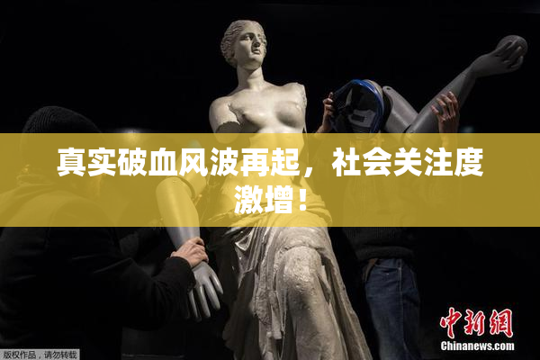 真实破血风波再起，社会关注度激增！