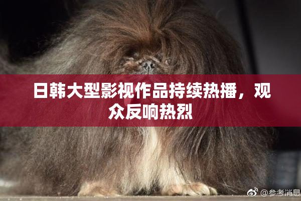 日韩大型影视作品持续热播，观众反响热烈