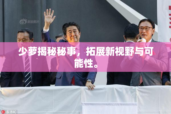 少萝揭秘秘事，拓展新视野与可能性。