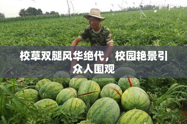 校草双腿风华绝代，校园艳景引众人围观