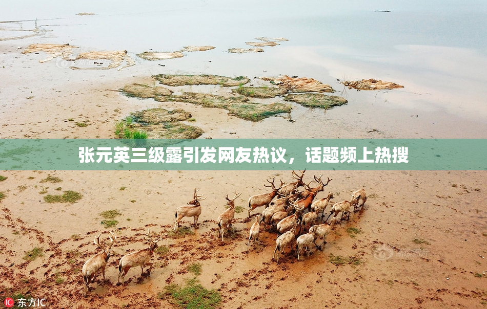 张元英三级露引发网友热议，话题频上热搜
