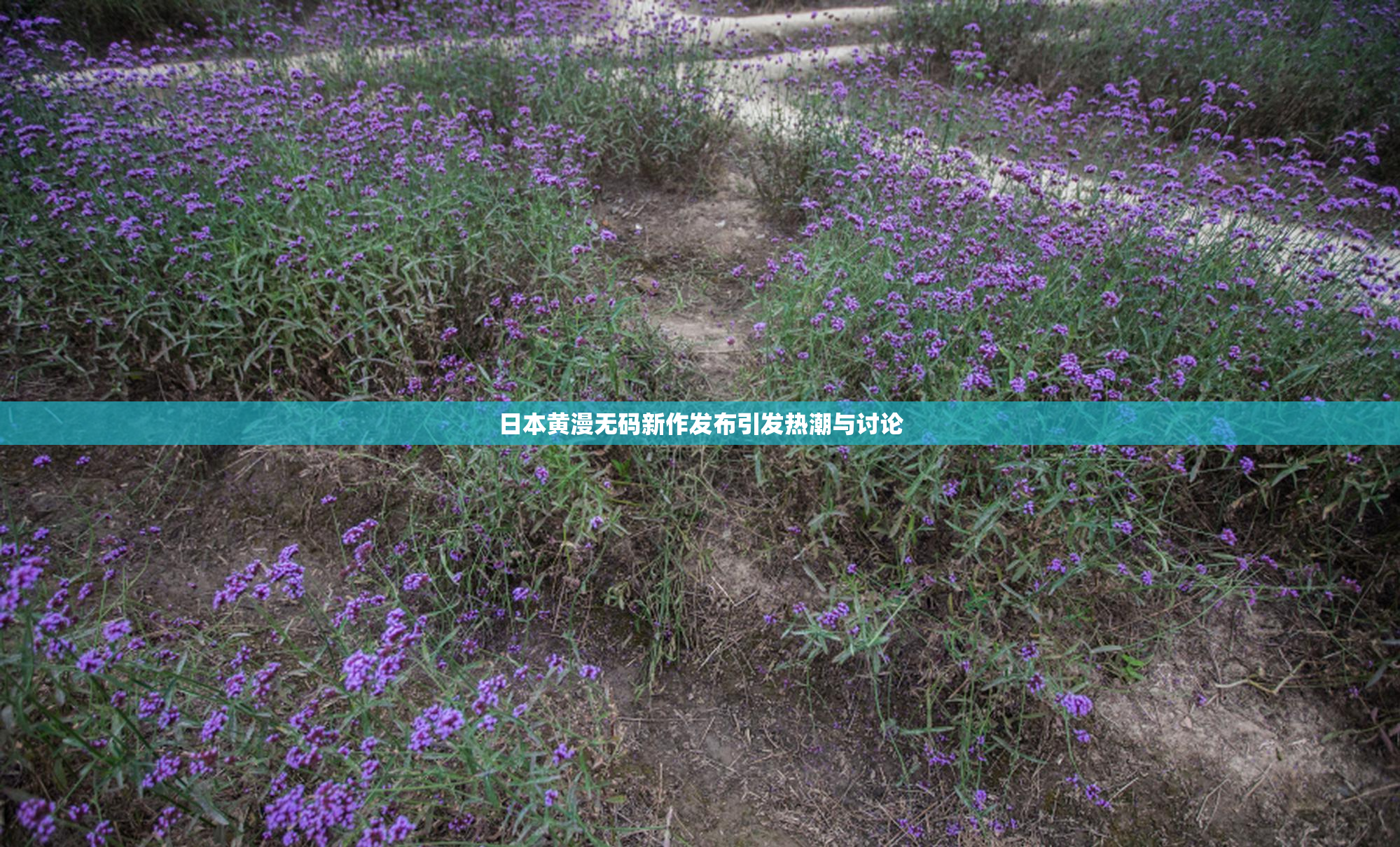 日本黄漫无码新作发布引发热潮与讨论