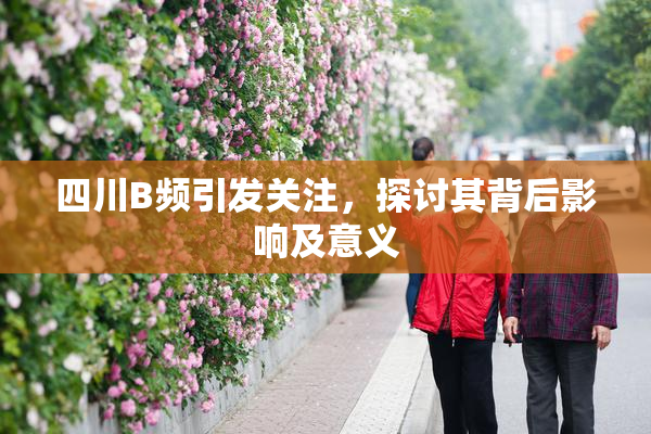 四川B频引发关注，探讨其背后影响及意义