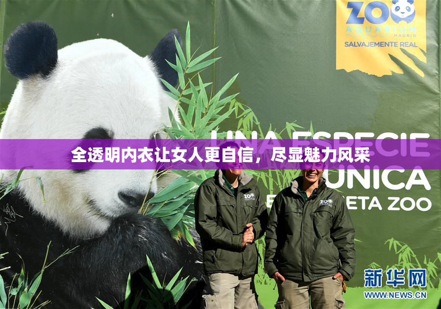 全透明内衣让女人更自信，尽显魅力风采