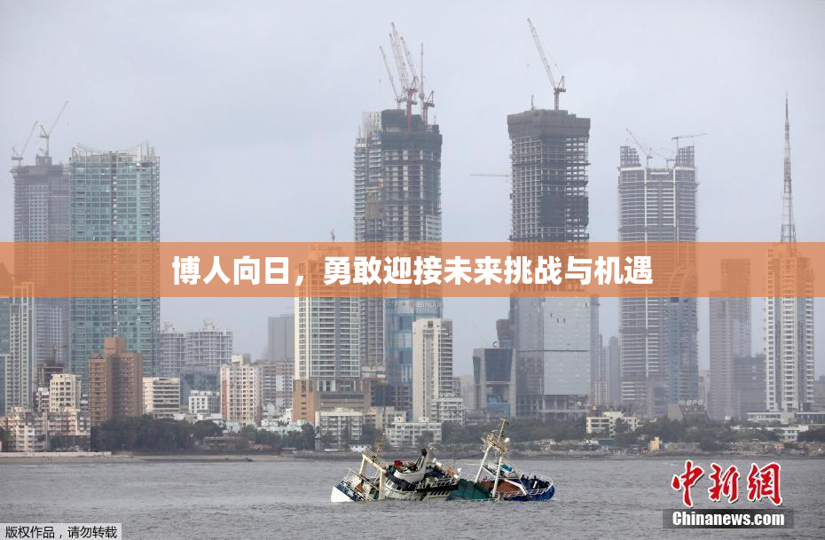博人向日，勇敢迎接未来挑战与机遇