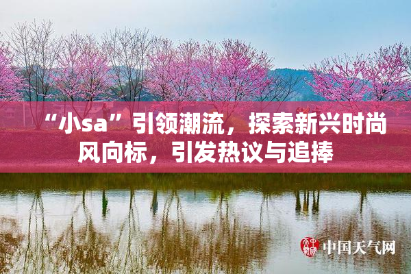 “小sa”引领潮流，探索新兴时尚风向标，引发热议与追捧