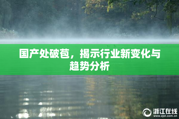 国产处破苞，揭示行业新变化与趋势分析