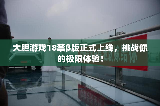 大胆游戏18禁β版正式上线，挑战你的极限体验！