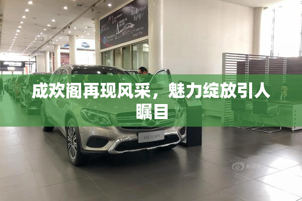 成欢阁再现风采，魅力绽放引人瞩目