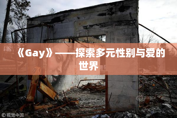 《Gay》——探索多元性别与爱的世界