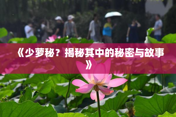 《少萝秘？揭秘其中的秘密与故事》