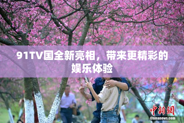 91TV国全新亮相，带来更精彩的娱乐体验