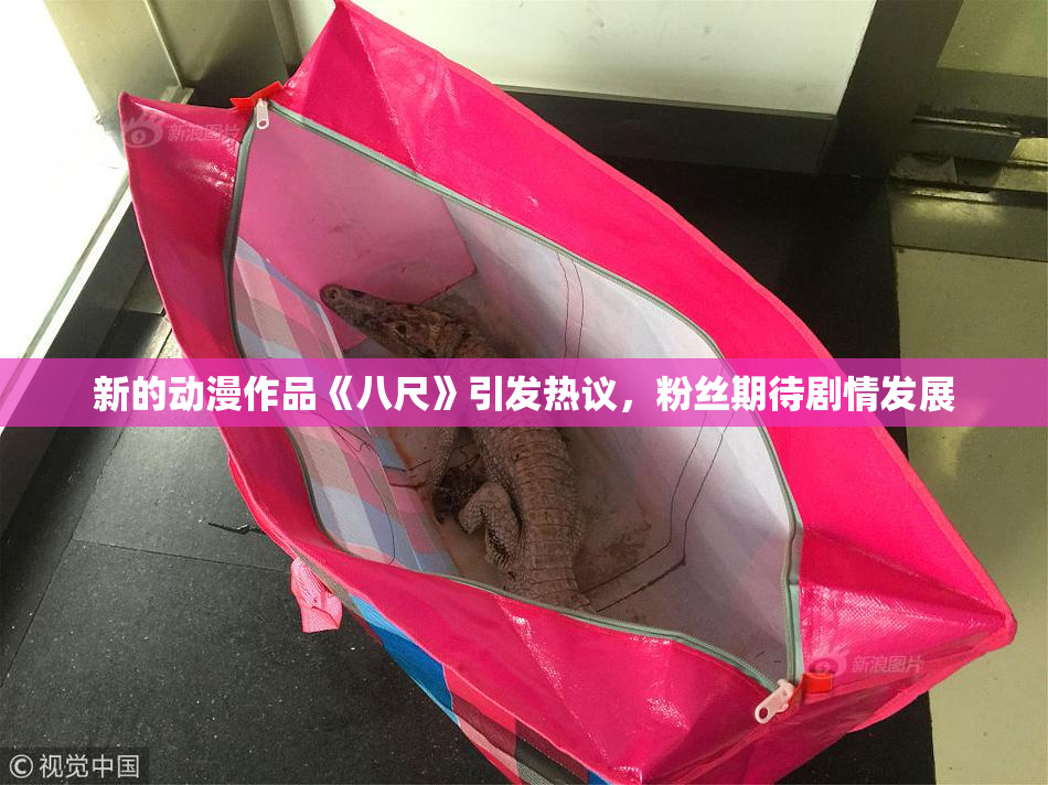 新的动漫作品《八尺》引发热议，粉丝期待剧情发展