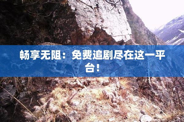 畅享无阻：免费追剧尽在这一平台！
