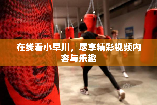 在线看小早川，尽享精彩视频内容与乐趣