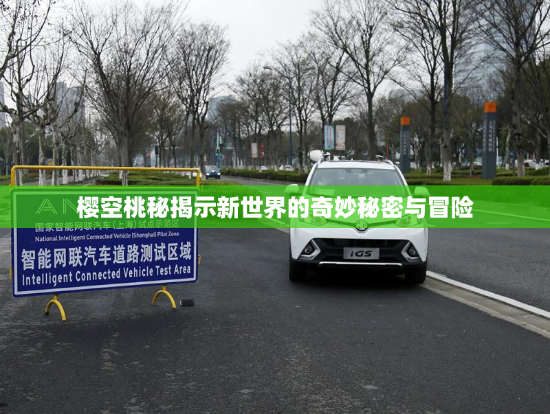 樱空桃秘揭示新世界的奇妙秘密与冒险