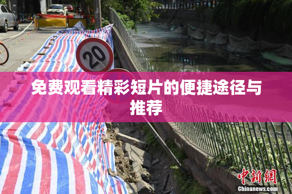 免费观看精彩短片的便捷途径与推荐