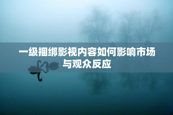一级捆绑影视内容如何影响市场与观众反应