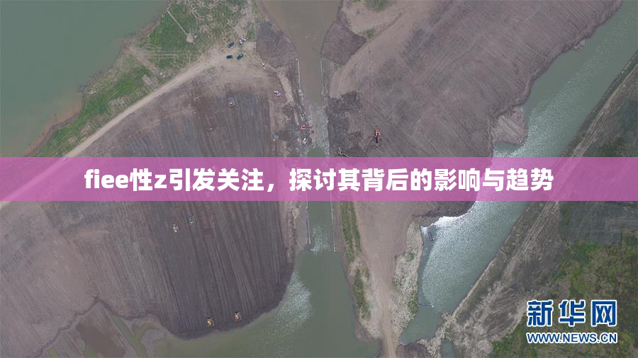 fiee性z引发关注，探讨其背后的影响与趋势