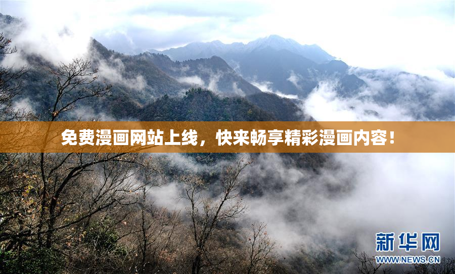 免费漫画网站上线，快来畅享精彩漫画内容！