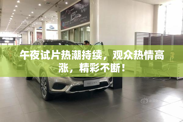 午夜试片热潮持续，观众热情高涨，精彩不断！