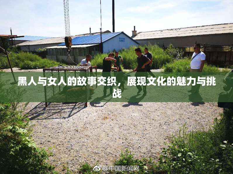 黑人与女人的故事交织，展现文化的魅力与挑战