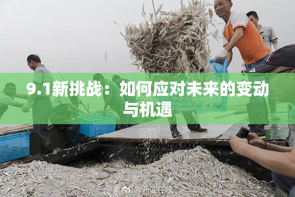 9.1新挑战：如何应对未来的变动与机遇