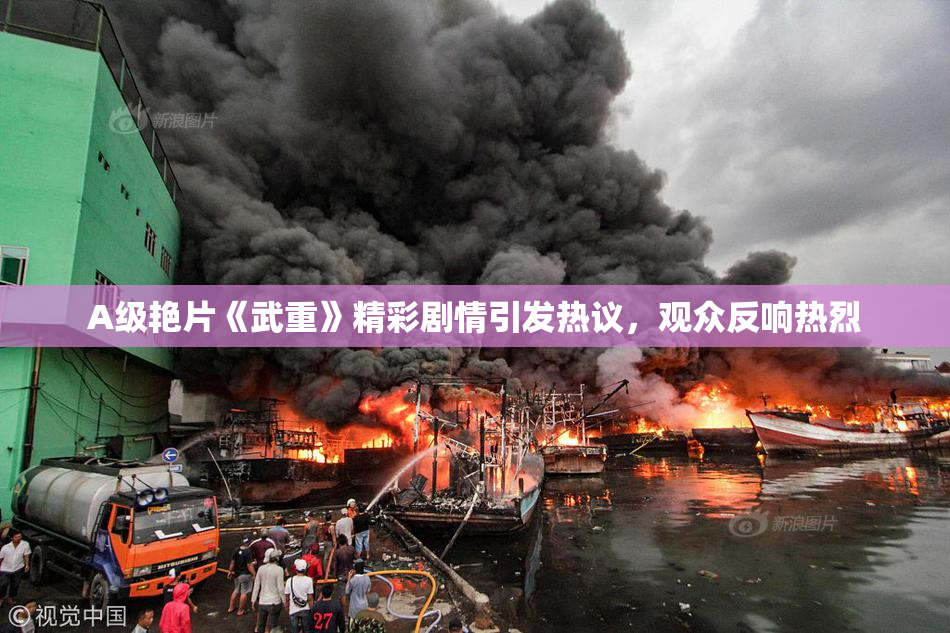 A级艳片《武重》精彩剧情引发热议，观众反响热烈