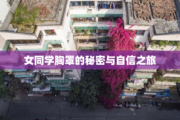 女同学胸罩的秘密与自信之旅