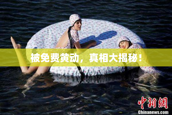 被免费黄动，真相大揭秘！