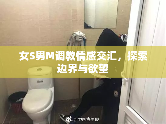 女S男M调教情感交汇，探索边界与欲望
