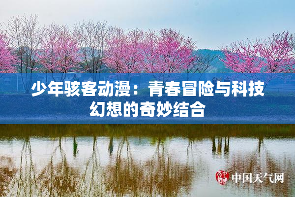 少年骇客动漫：青春冒险与科技幻想的奇妙结合