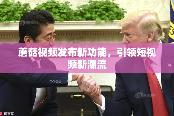蘑菇视频发布新功能，引领短视频新潮流