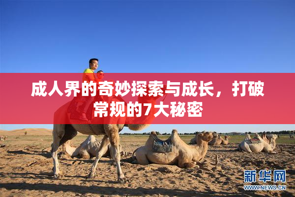 成人界的奇妙探索与成长，打破常规的7大秘密
