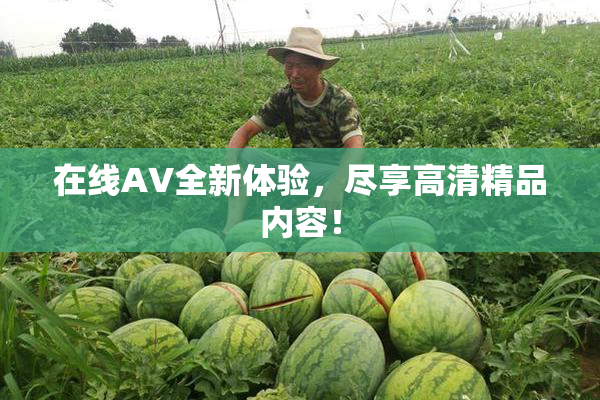 在线AV全新体验，尽享高清精品内容！