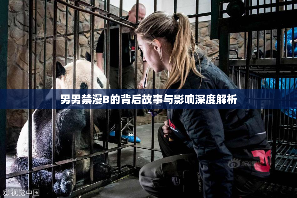 男男禁漫B的背后故事与影响深度解析
