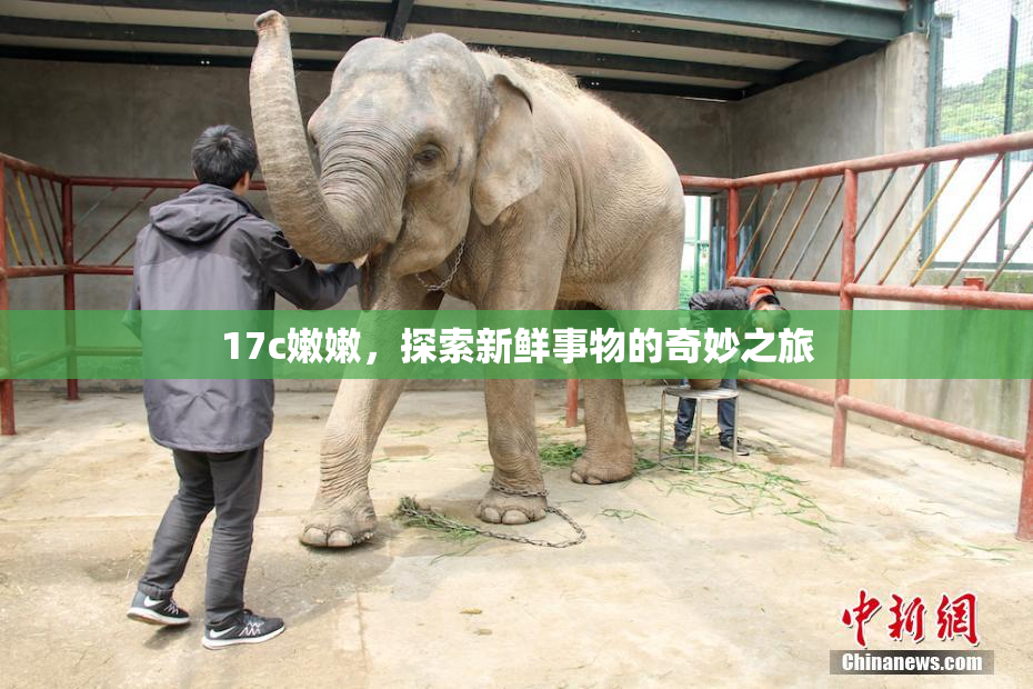 17c嫩嫩，探索新鲜事物的奇妙之旅