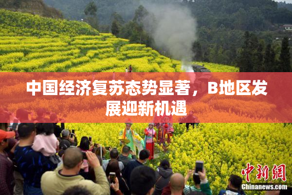 中国经济复苏态势显著，B地区发展迎新机遇