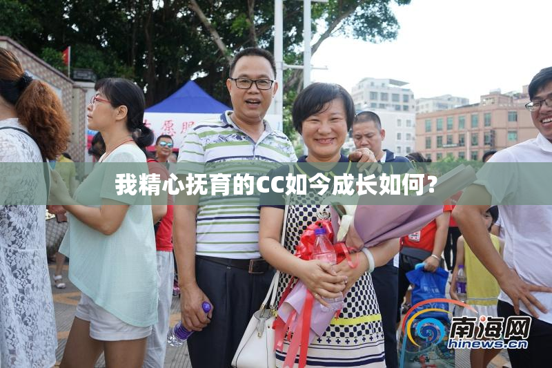 我精心抚育的CC如今成长如何？