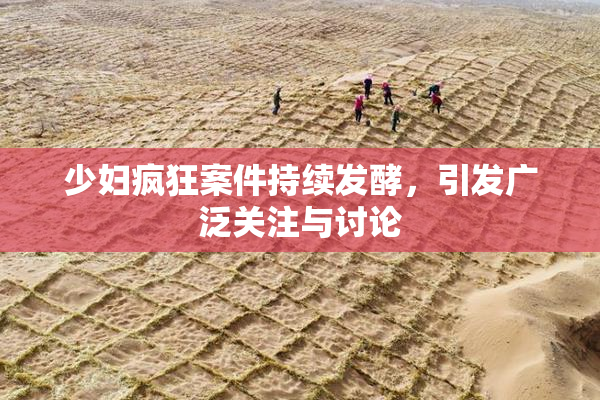 少妇疯狂案件持续发酵，引发广泛关注与讨论