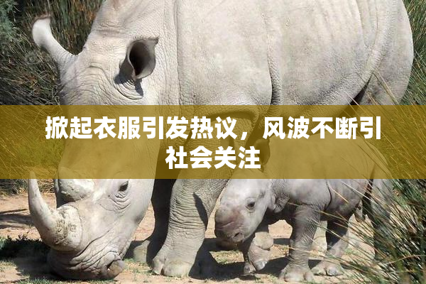 掀起衣服引发热议，风波不断引社会关注