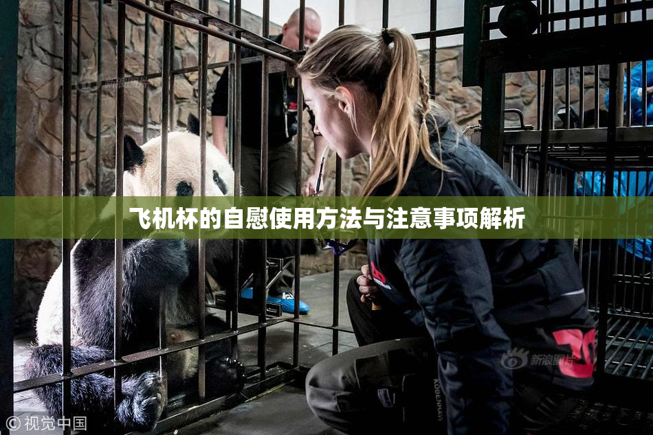 飞机杯的自慰使用方法与注意事项解析