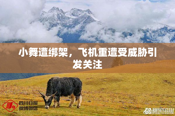 小舞遭绑架，飞机重遭受威胁引发关注